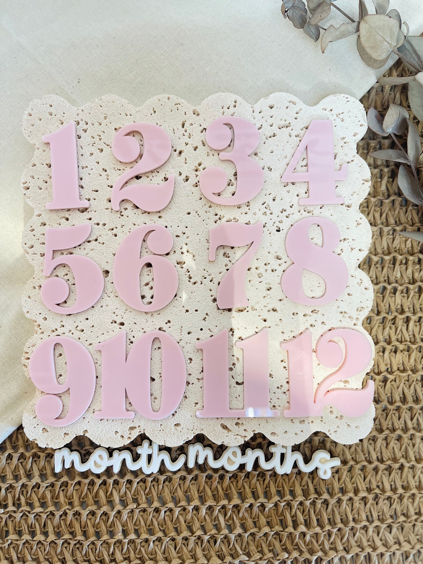 Baby Milestone Discs | Floral Butterfly Monthly Milestone Marker Set