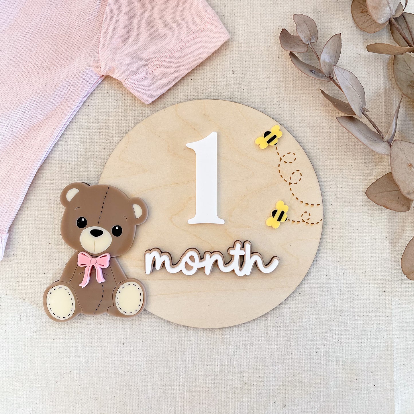 Teddy Bear Monthly Milestone Plaques