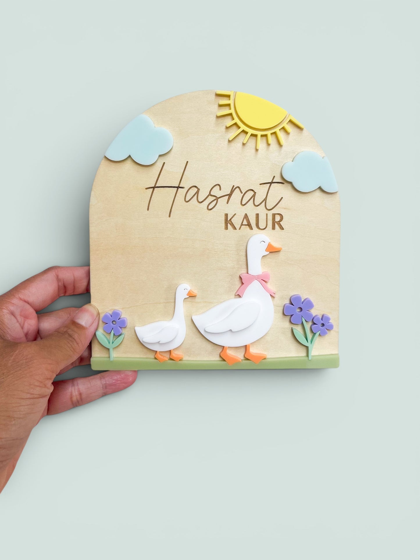 Baby Announcement Goose Sign | Baby Photo Flat lay
