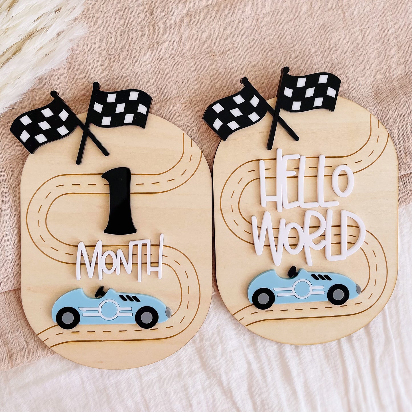 Race Car Baby Milestone Disc | Newborn Photo Props