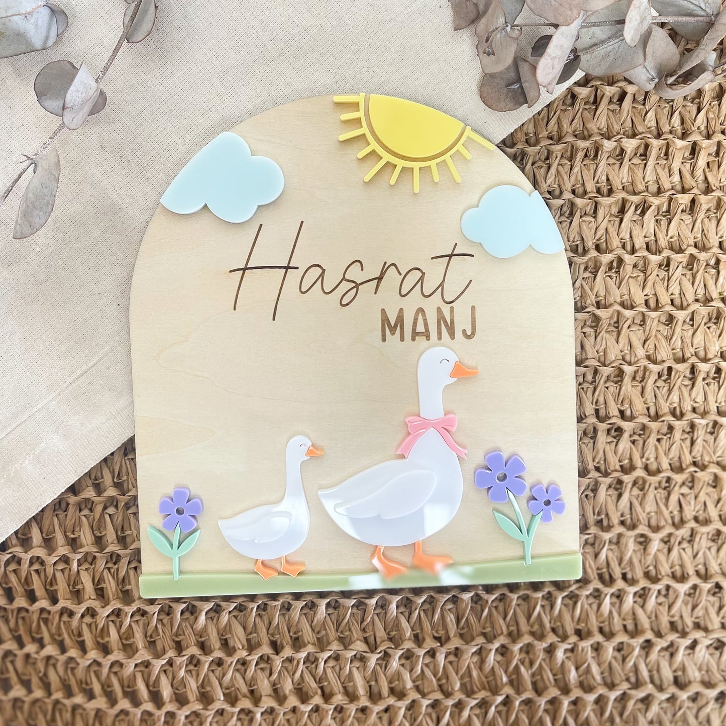 Baby Announcement Goose Sign | Baby Photo Flat lay