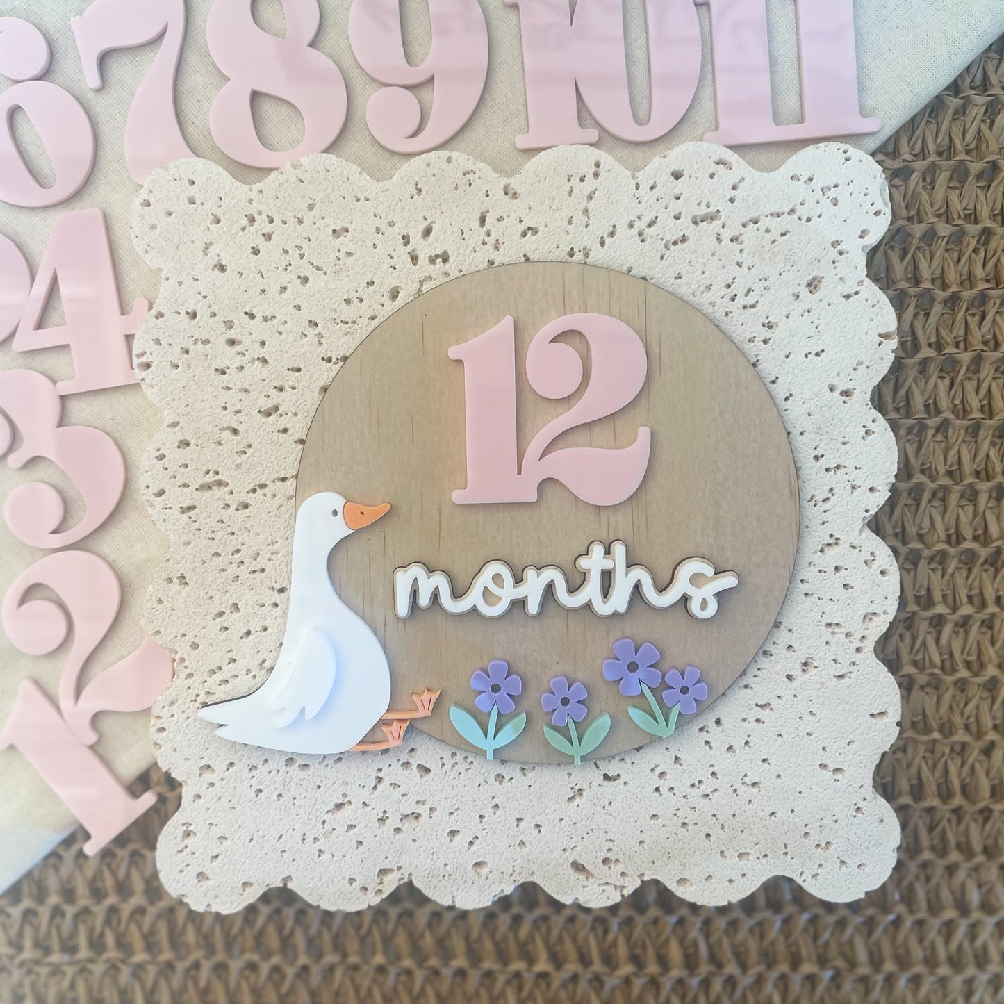 Silly Goose Baby Milestone 