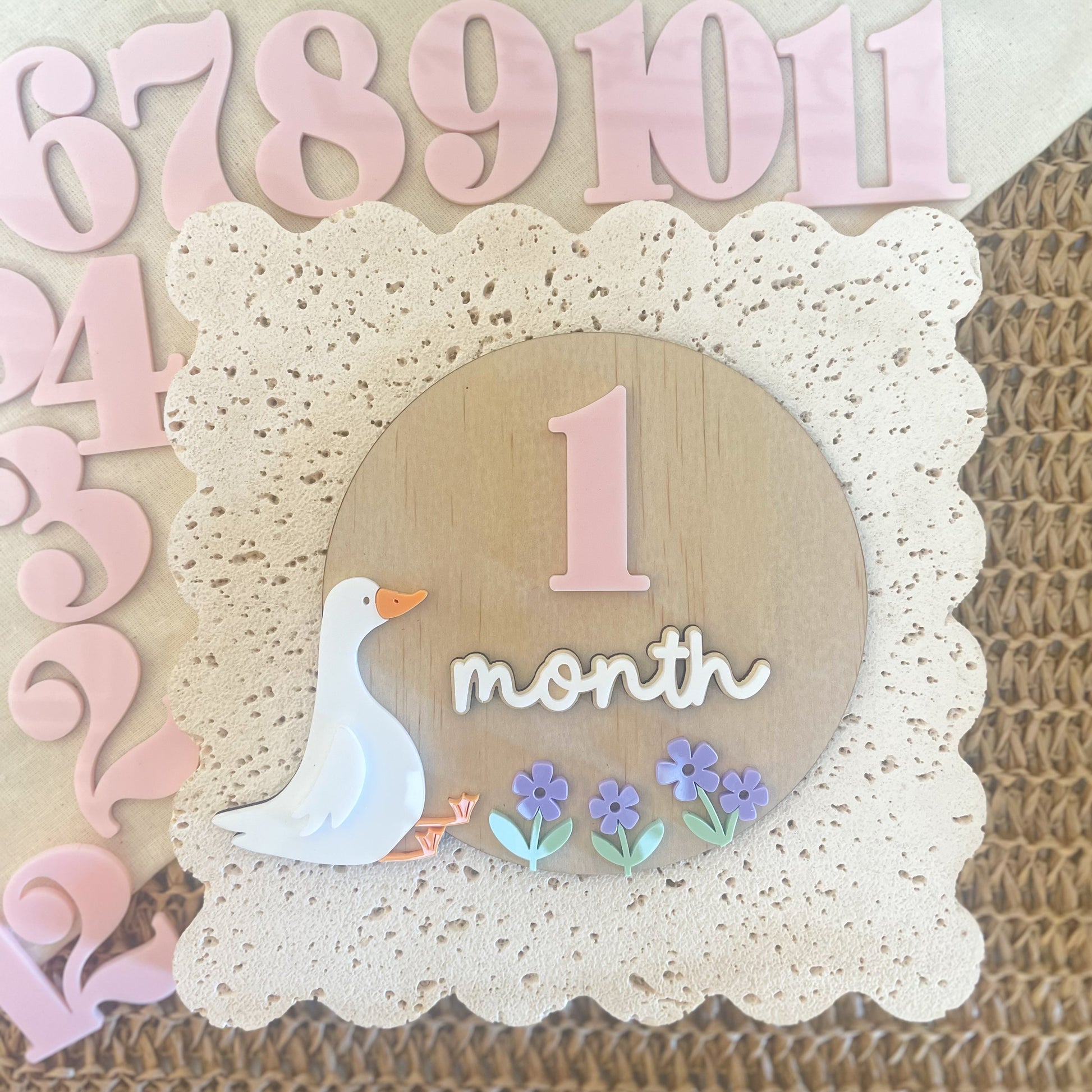 Monthly Milestone Baby Disc 