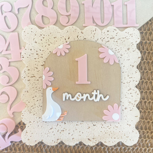 floral baby milestone disc