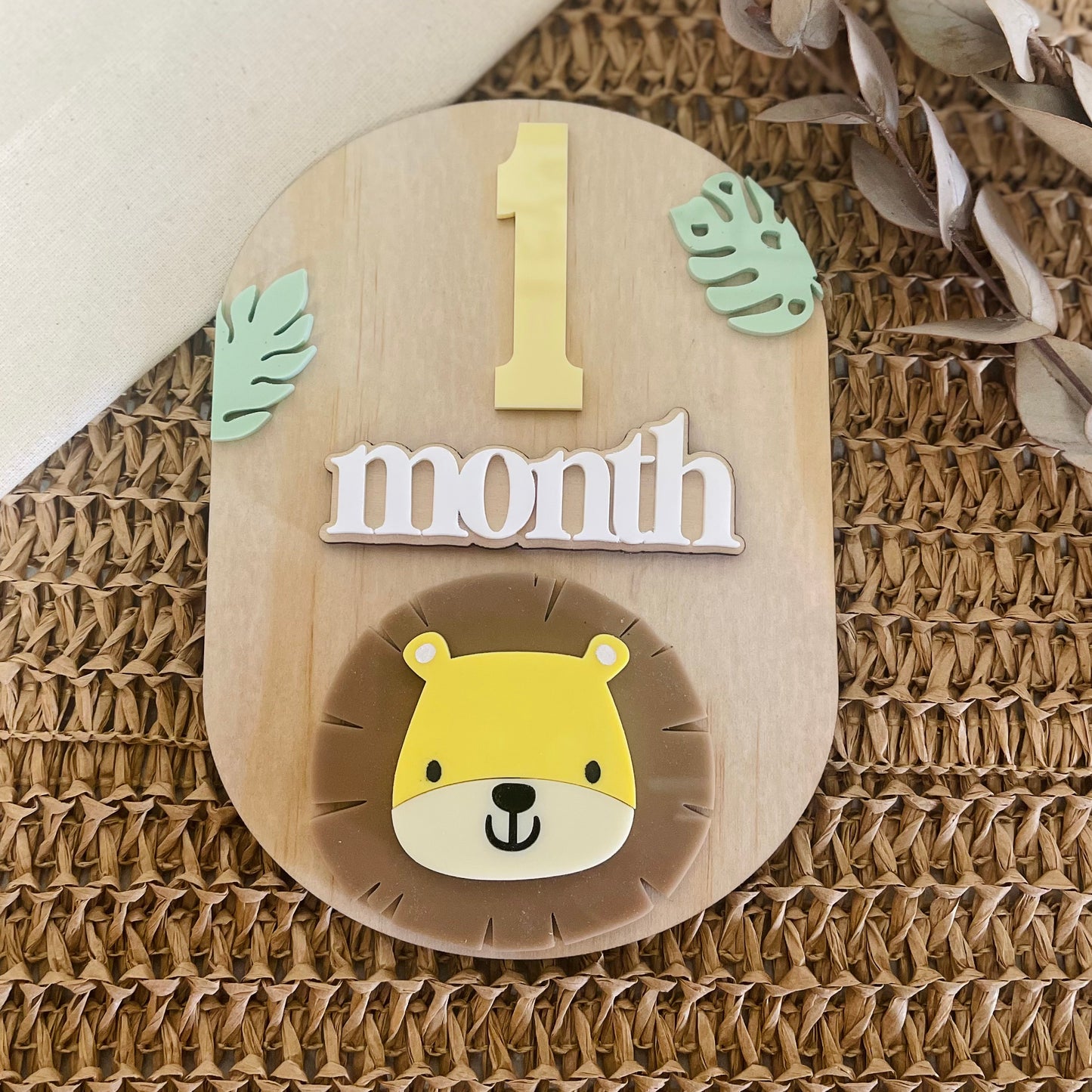 Baby Milestone Disc in Australia 