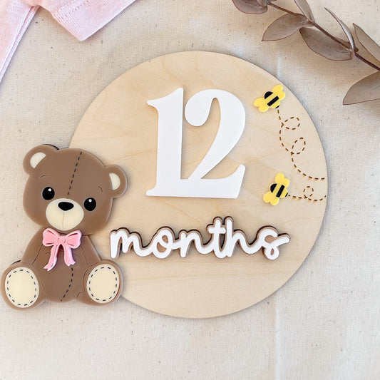 Teddy Bear Monthly Milestone Plaques