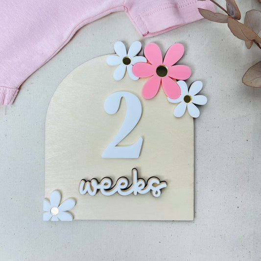 Floral Monthly Milestone | Baby Shower Gifts