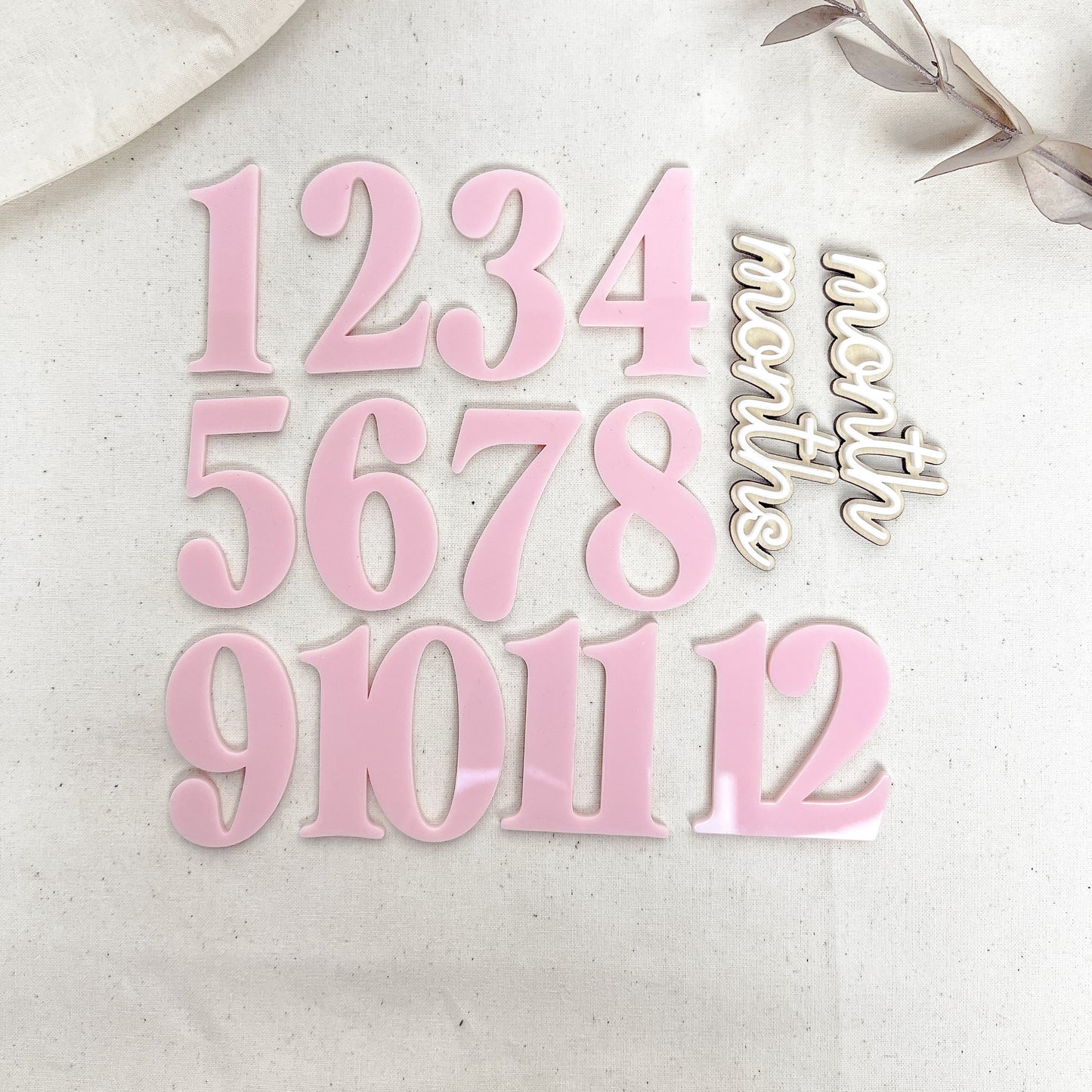 Floral Baby Milestone Discs