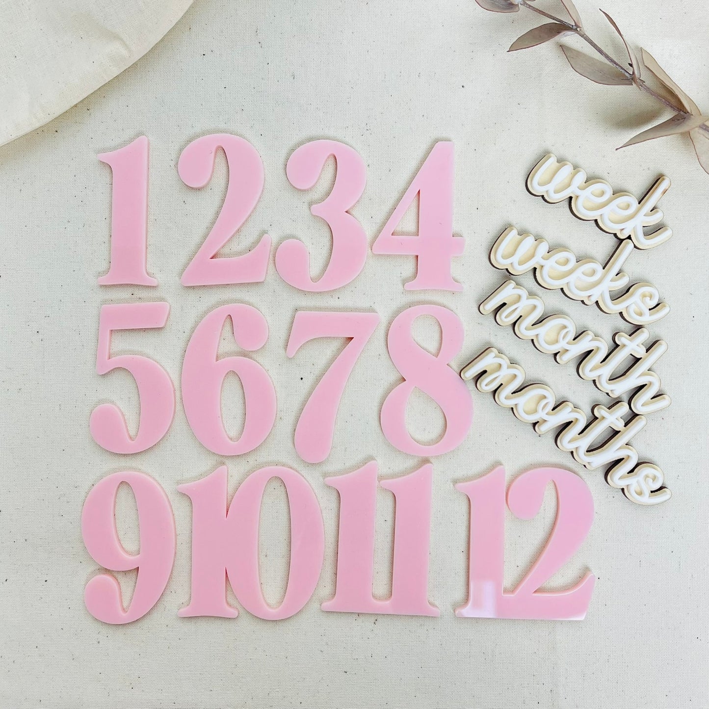 Floral Baby Milestone Discs