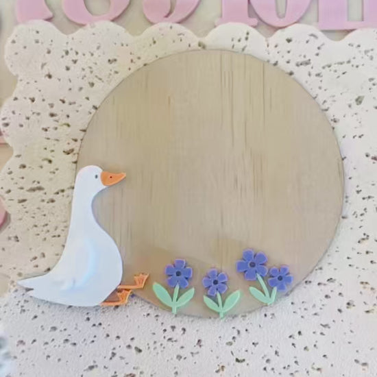 Silly Goose Monthly Photography 