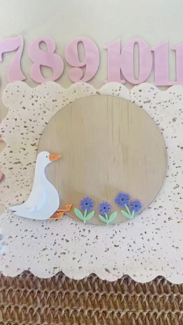 Silly Goose Monthly Photography 