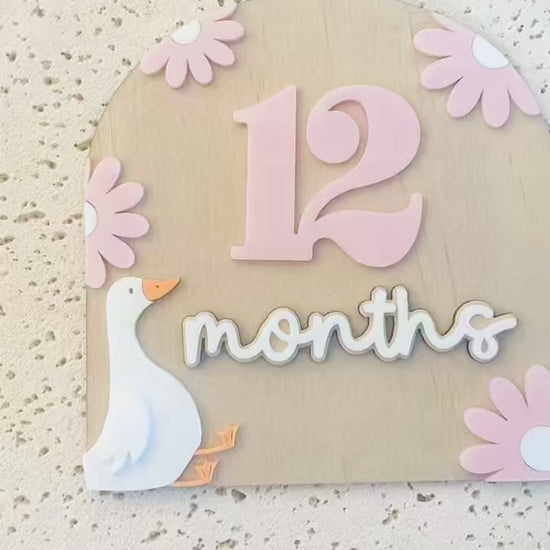 Silly goose Milestones Photography Prop