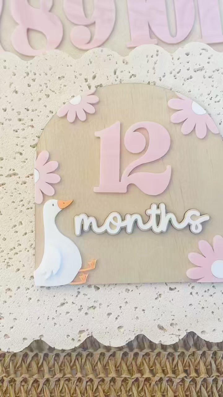 Silly goose Milestones Photography Prop